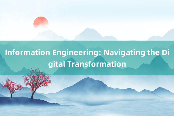 Information Engineering: Navigating the Digital Transformation